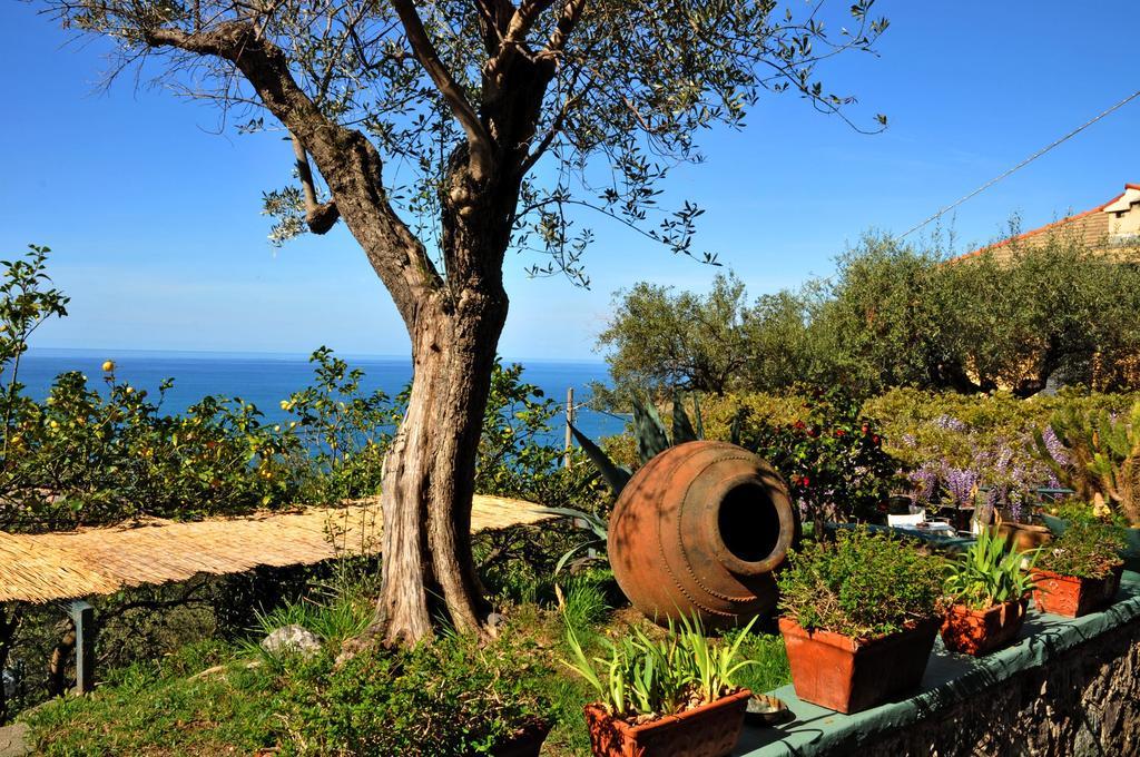 Hotel Villa Belvedere Bonassola Exterior photo
